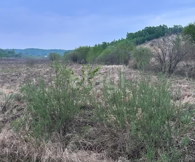 Село Игнатьево Амурская область