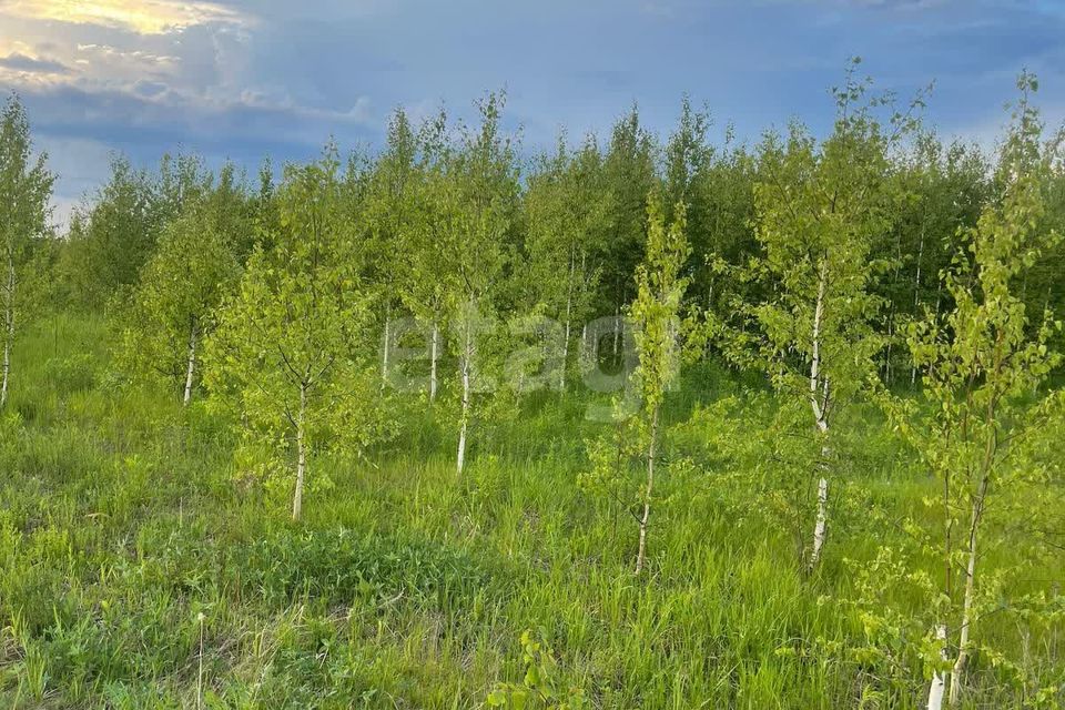 Деревня Крутая Купить Участок