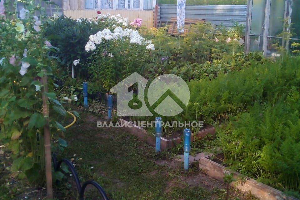Снт голубые озера новосибирск. Снт любитель новосибирск. Снт любитель новосибирск. Снт новосибирск. Дачи.