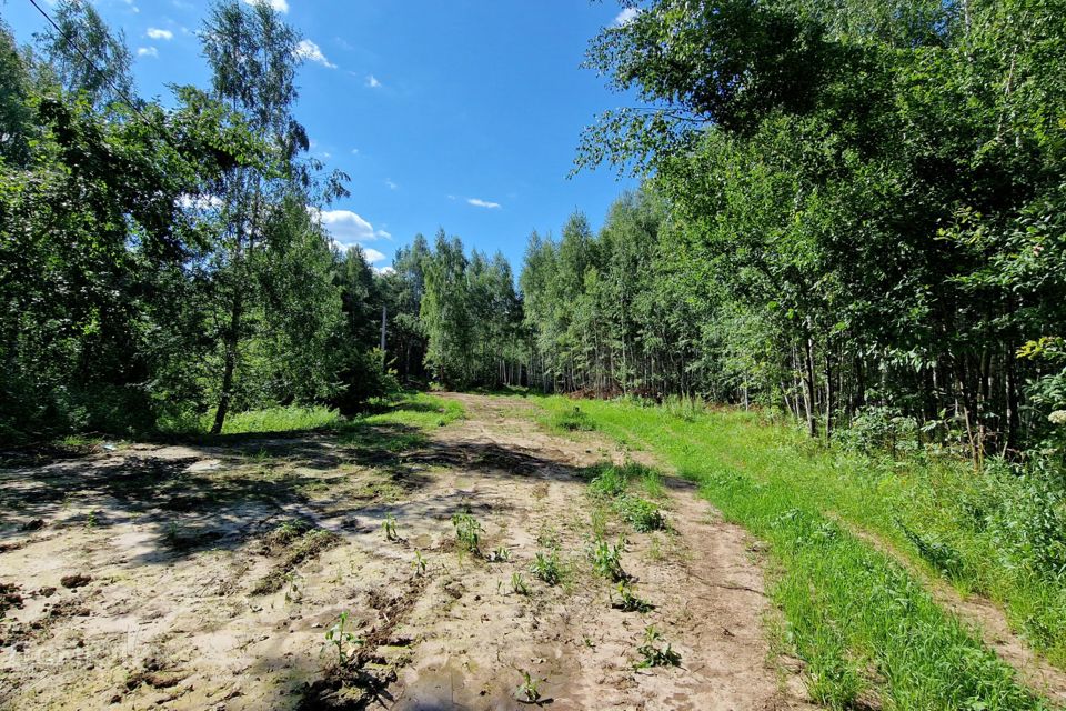 Купить Сад В Кстовском Районе Нижегородской Области