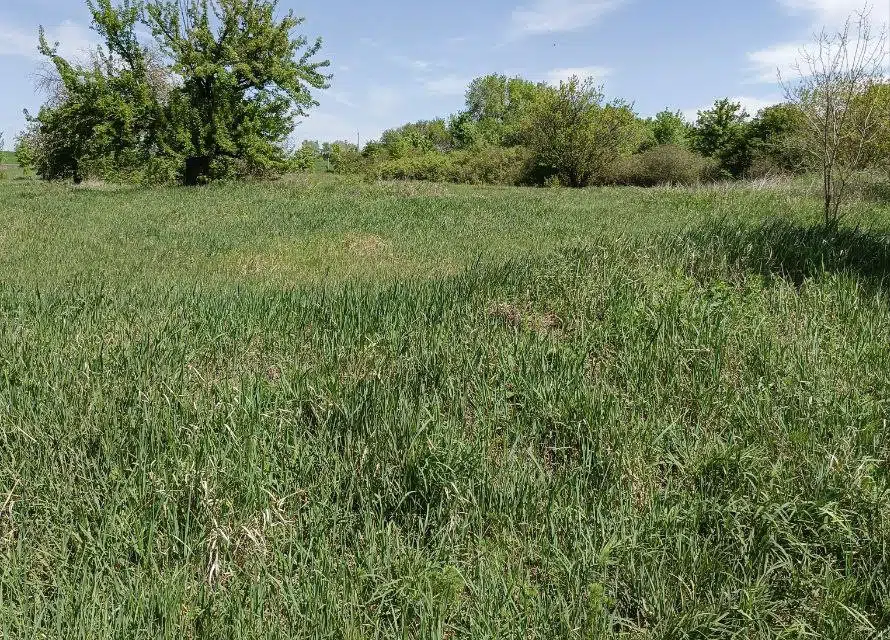 Продаётся участок, 65.16 сот., ИЖС