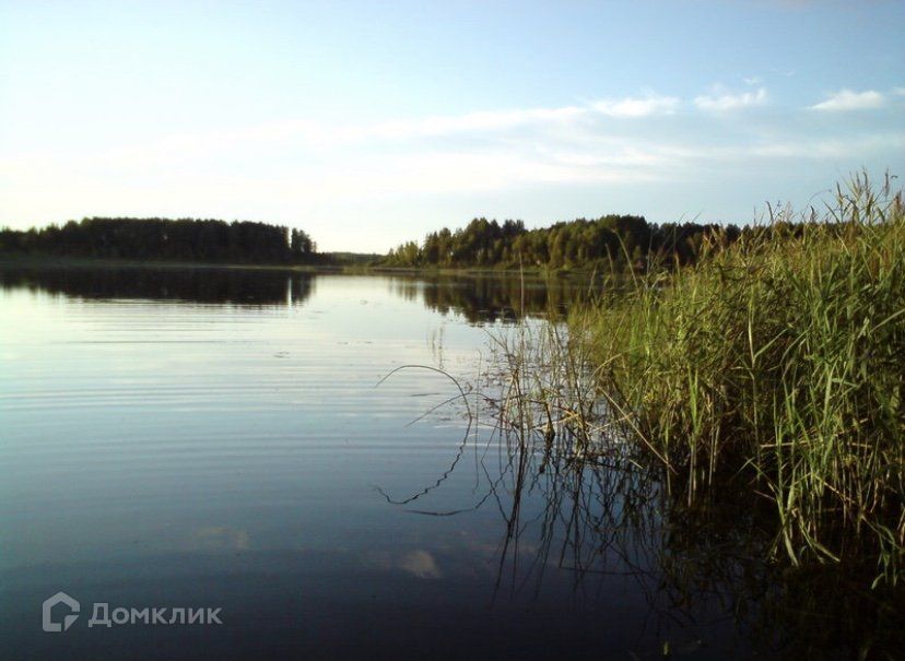 Чикинская доска своими руками