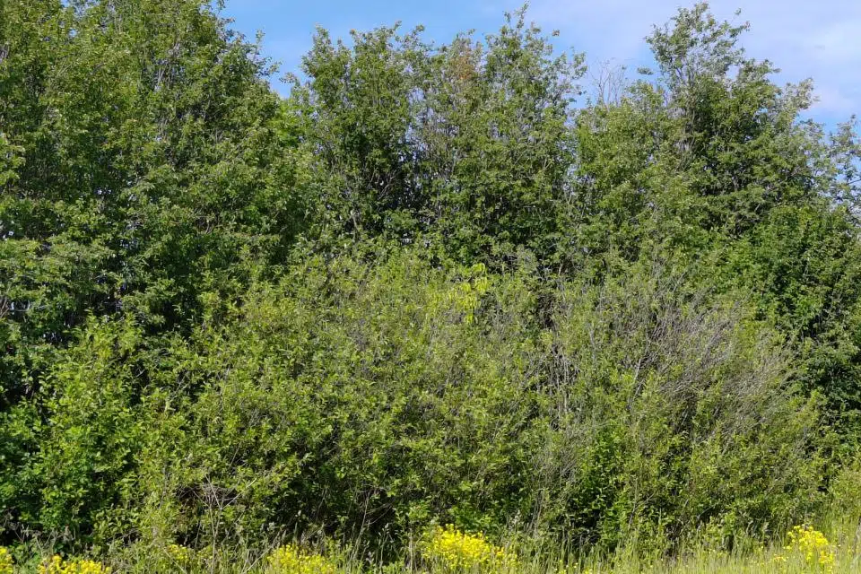 Продаётся 1-этажный дом, 38 м²