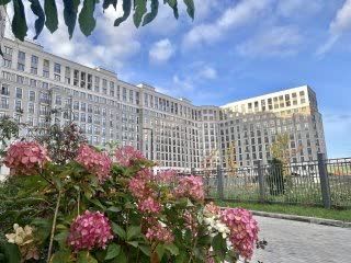 Продаётся студия, 24 м²