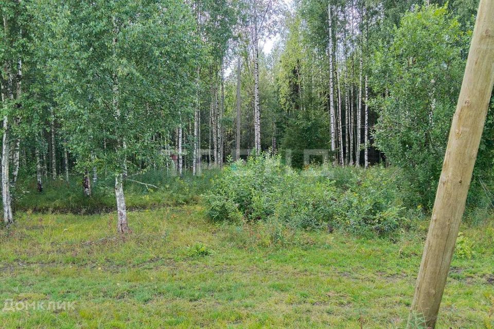 Купить Участок В Белоострове Недорого