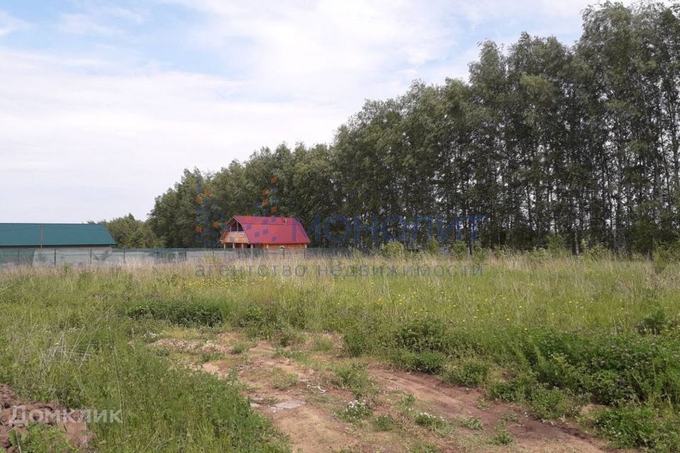 Лисьи ямки погода нижегородская область. Нижегородская сотка