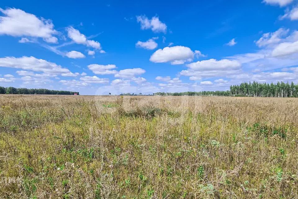 Смирново участки. Ясногорский район природа. Село Климовское Ясногорского района Тульской области. Горячевщина. Климовское дорога Ясногорский район.