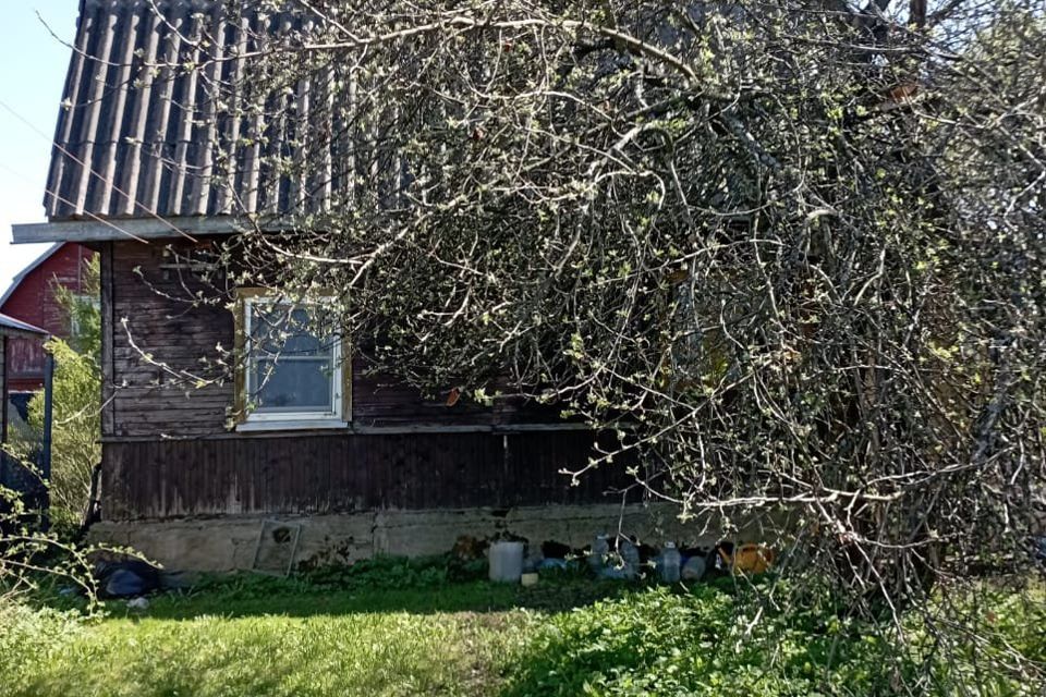 Купить Дом С Участком В Снт Невское