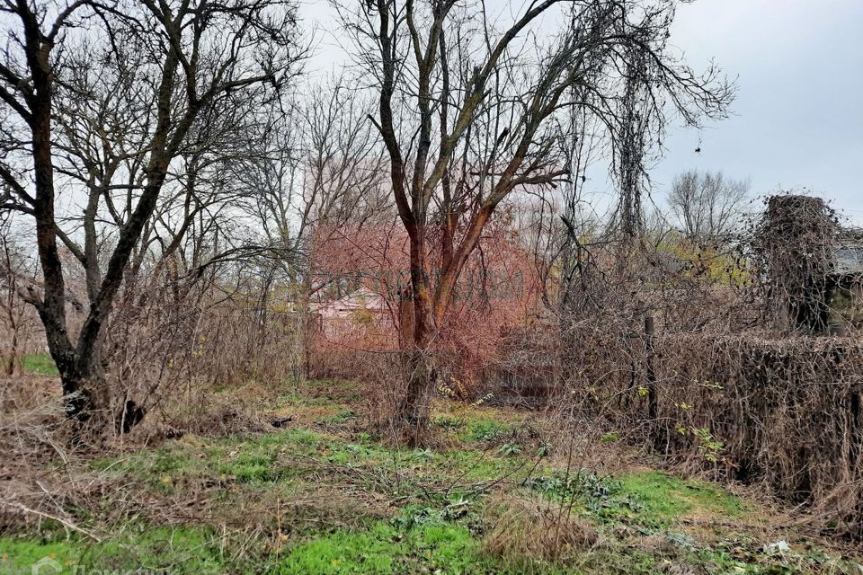 Хутор морской чулек. Село вареновка ростовская область. Снт авангард вареновка план. Снт авангард вареновка план садовых участков. Снт авангард вареновка план.