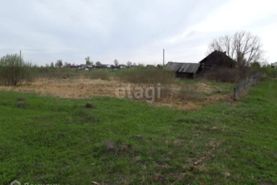 Красногорское луговой. Красногорское луговой. Красногорск, д. Разнотравье алтая. Майская 23.
