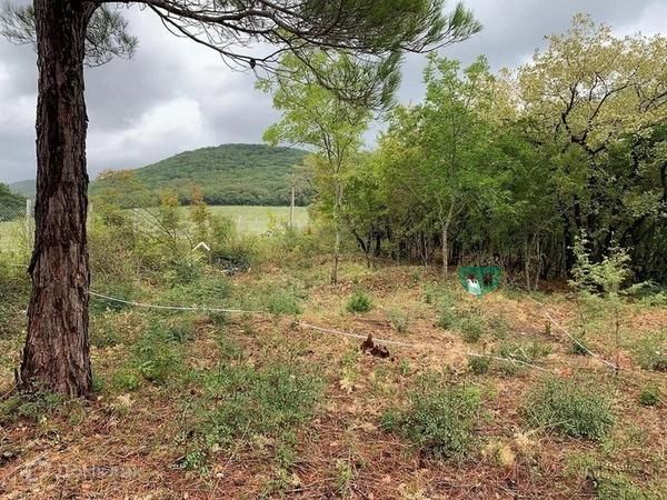 Хутор Бетта Краснодарский Край Купить