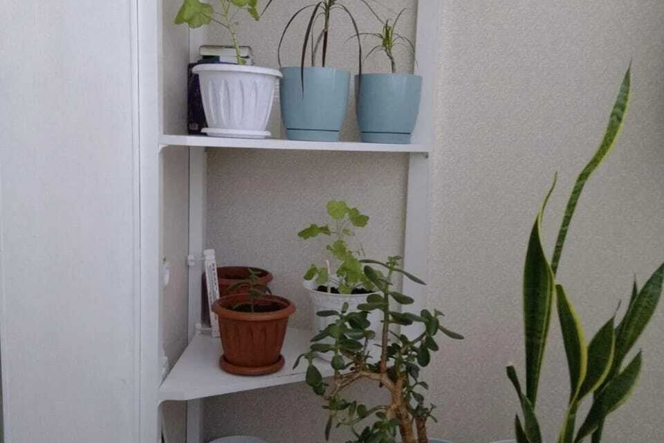 Продаётся студия, 31 м²