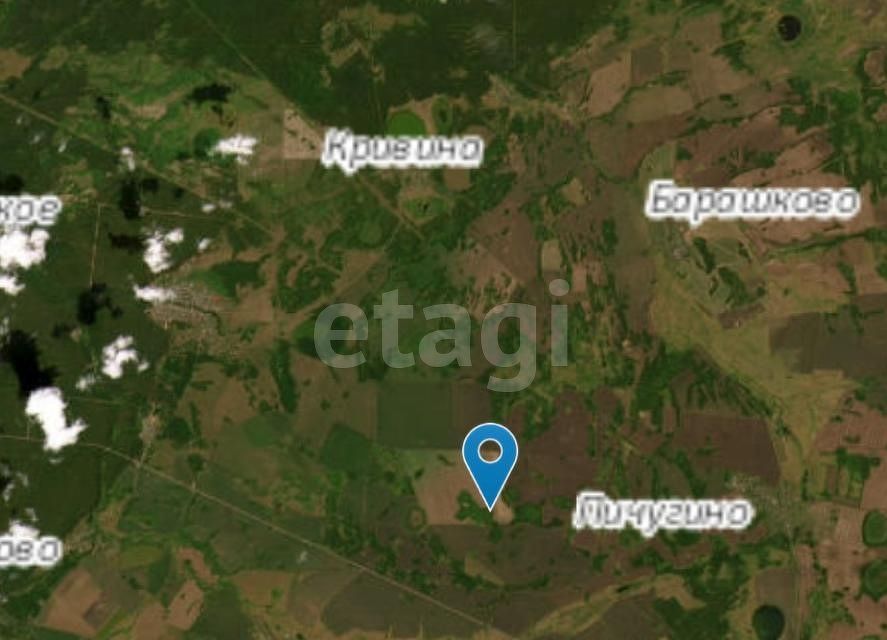 Купить Дом В Курганской Области Село Пичугино