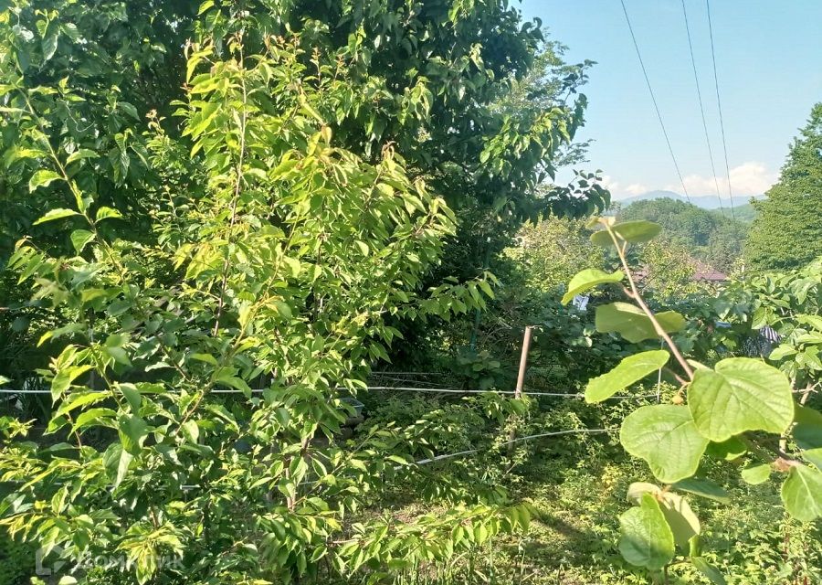 Купить Дом Новошкольная Сергей Поле