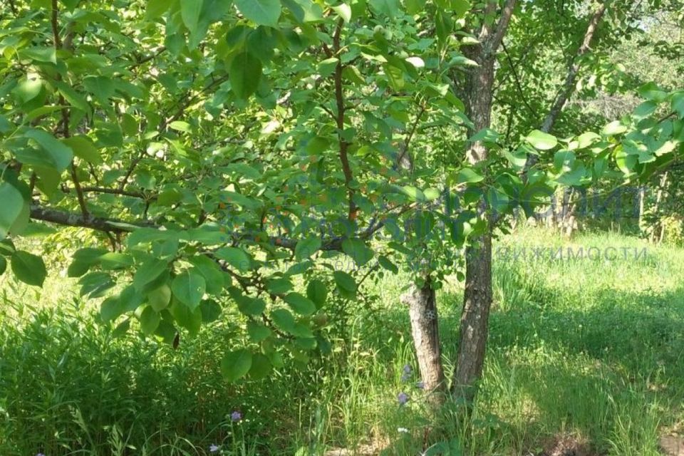 Купить Участок В Деревне Нижегородской Области