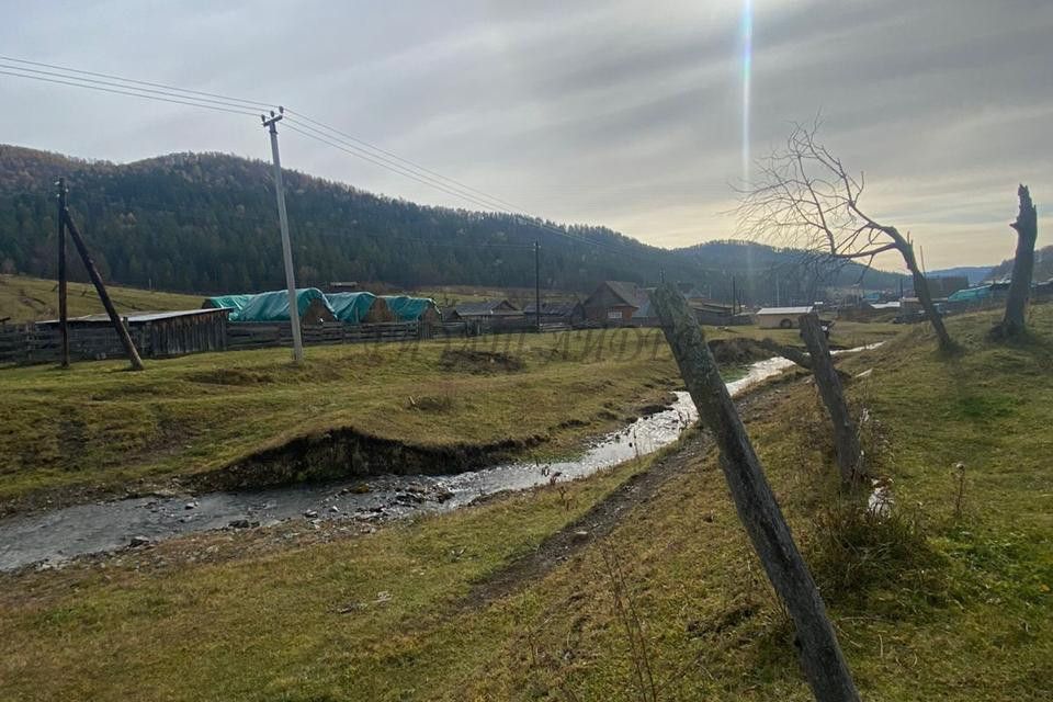 Село Узнезя Чемальский район Алтай