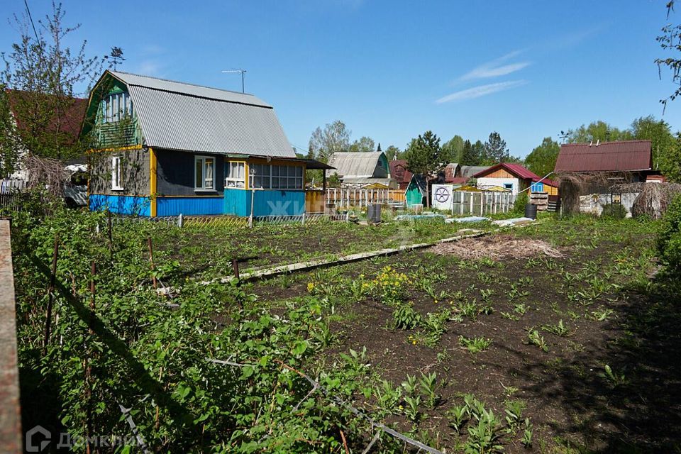 Топ самых дорогих коммерческих объектов в Новосибирской области - trinniti.ru