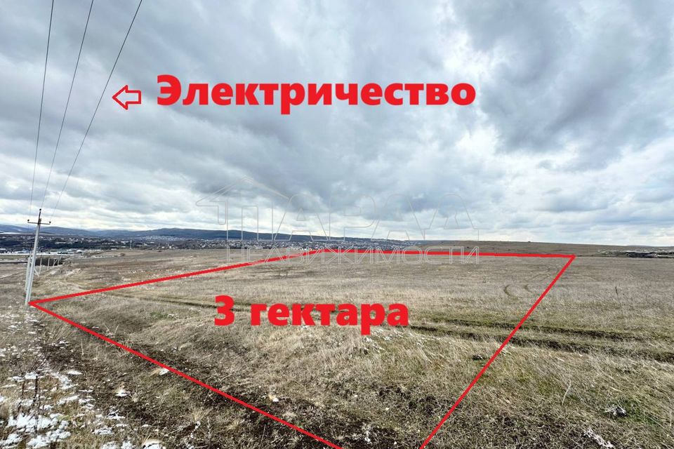 Купить Сухой Лес Симферополь
