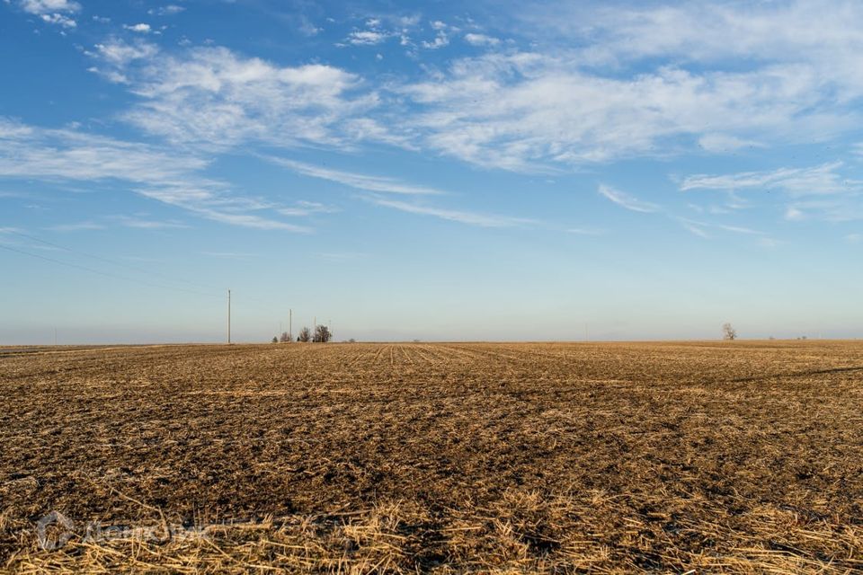 Пустое поле фото