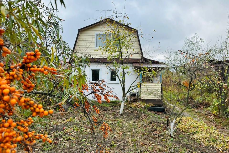 Купить Дачу В Менделеевске Республика Татарстан