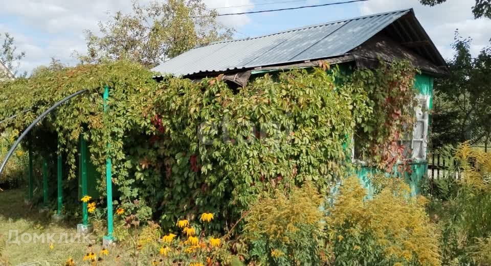 Купить Дачу В Коврове