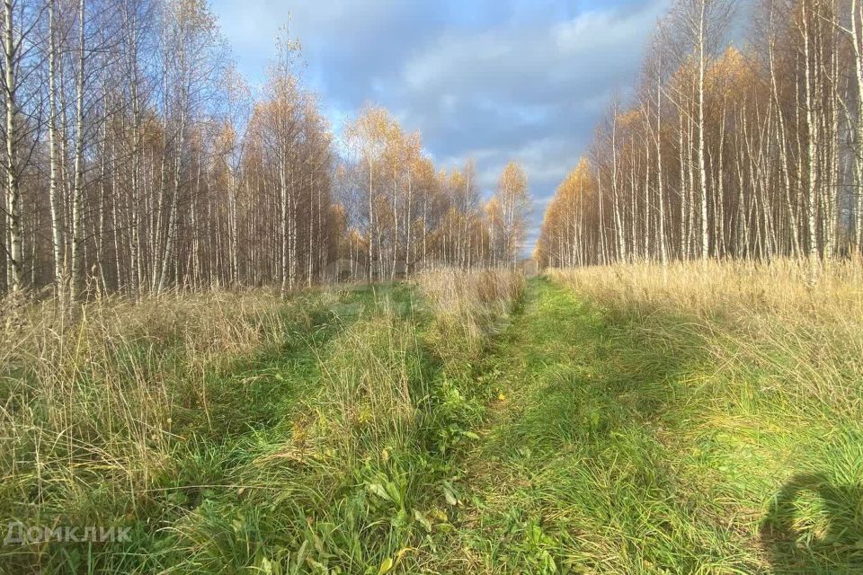 Купить Участок Костромская Область