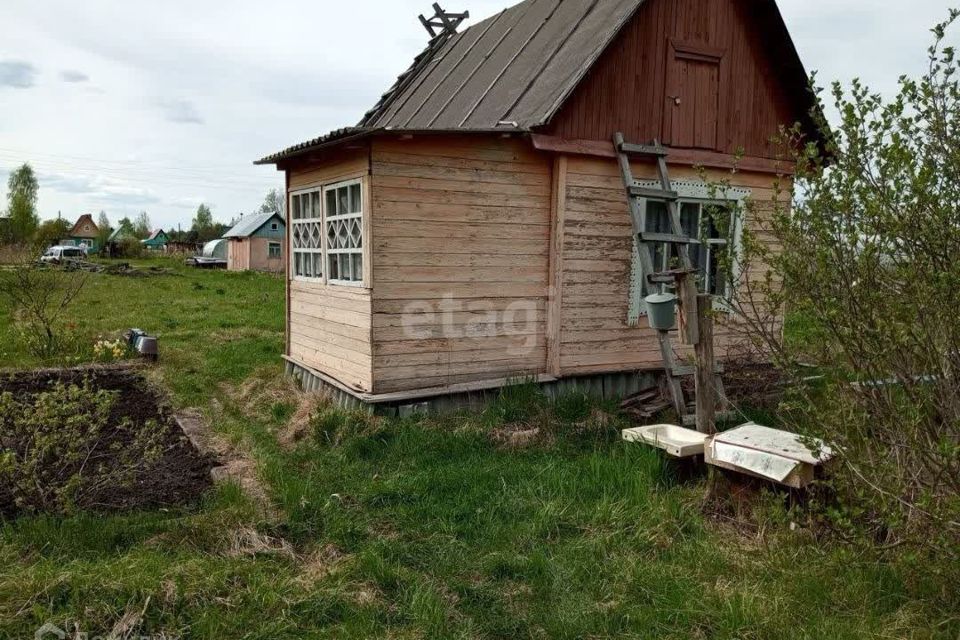 Купить Дачу Архангельск Через Агентство