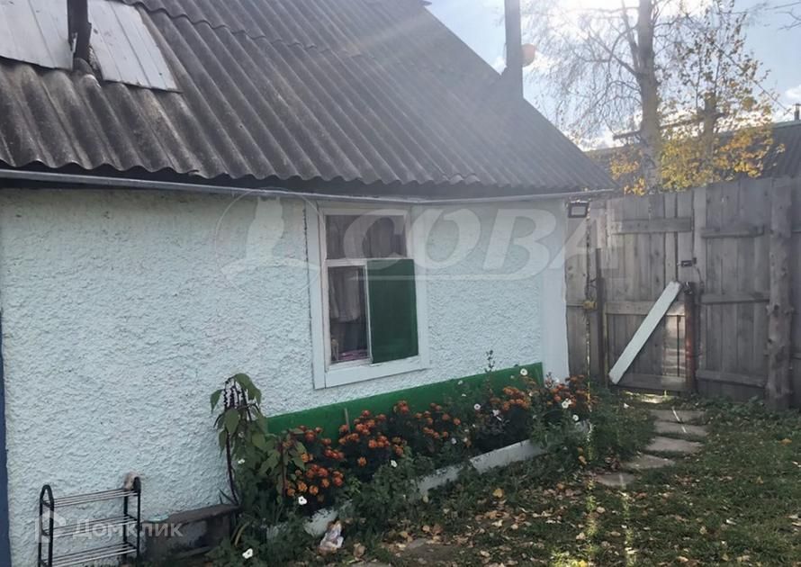 Снт природа тобольск. Снт природа тобольск