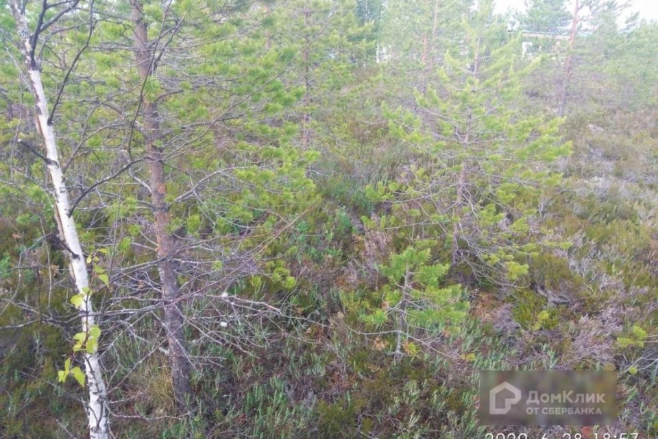 Участковые северодвинск. СНТ спектр Северодвинск.