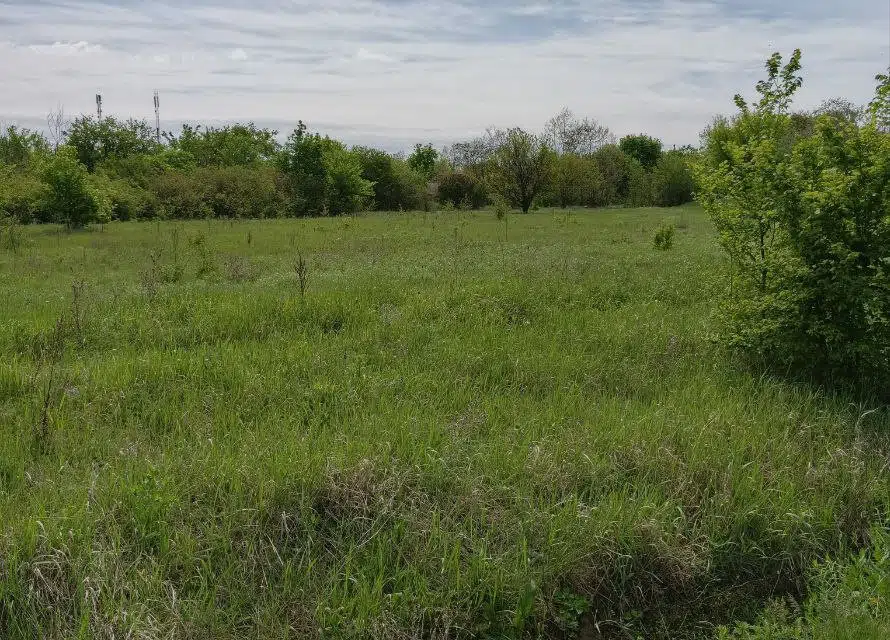 Продаётся участок, 65.16 сот., ИЖС