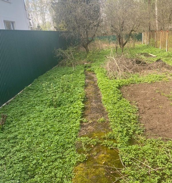 Мкр Сходня Купить Дом