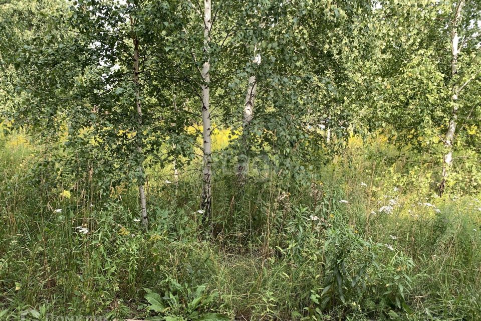 Морская 2 участок бердск. Морская 2 участок бердск. 5 участок бердск. 5 участок бердск. Морская 2 участок бердск.