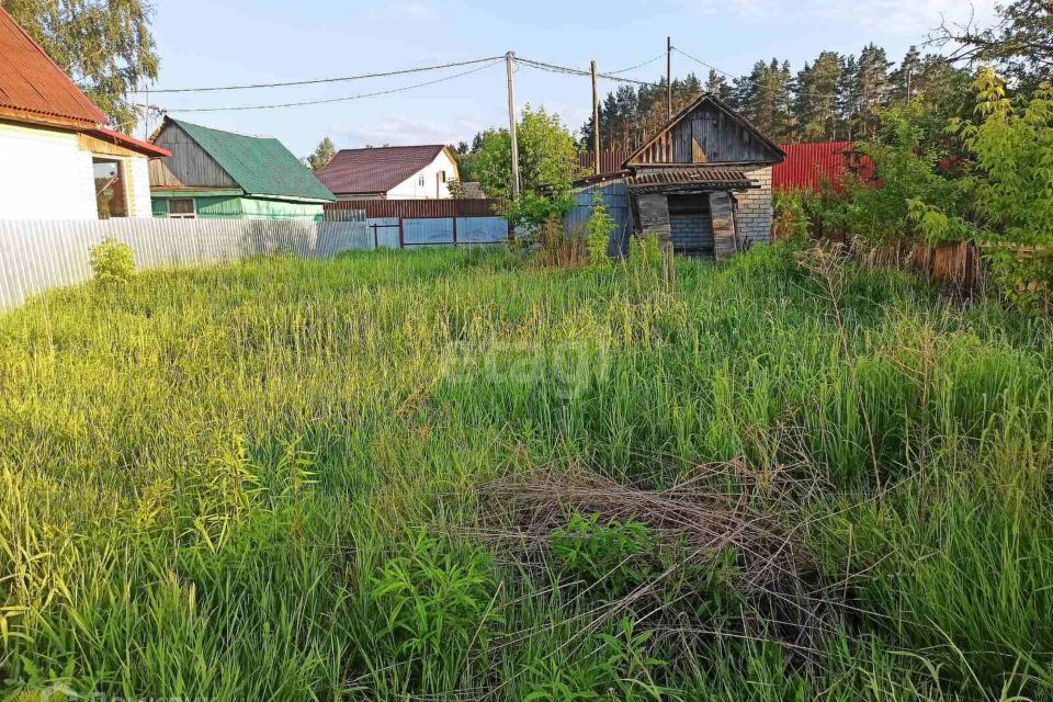 СНТ рассвет Брянск. Брянск со рассвет дачи.
