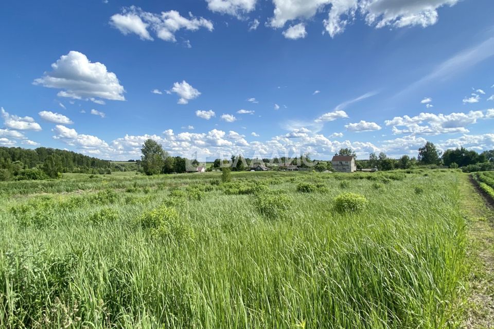 Купить Земельный Участок В Брянской Области