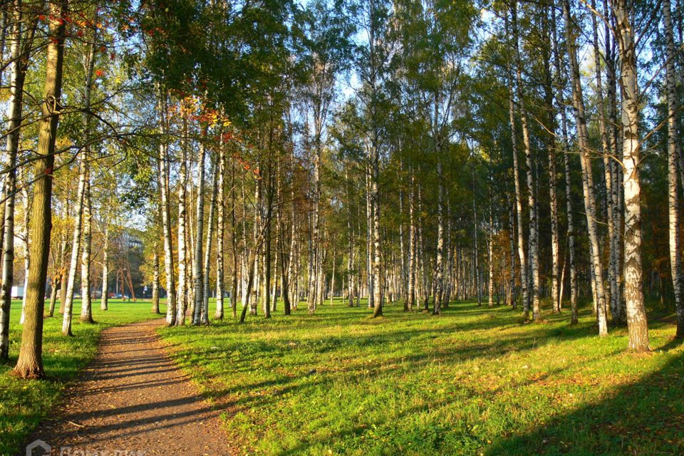 Пискаревский парк санкт петербург пискаревский парк фото Купить Квартиру с Дизайнерским Ремонтом на Лабораторной аллее (Санкт-Петербург) 