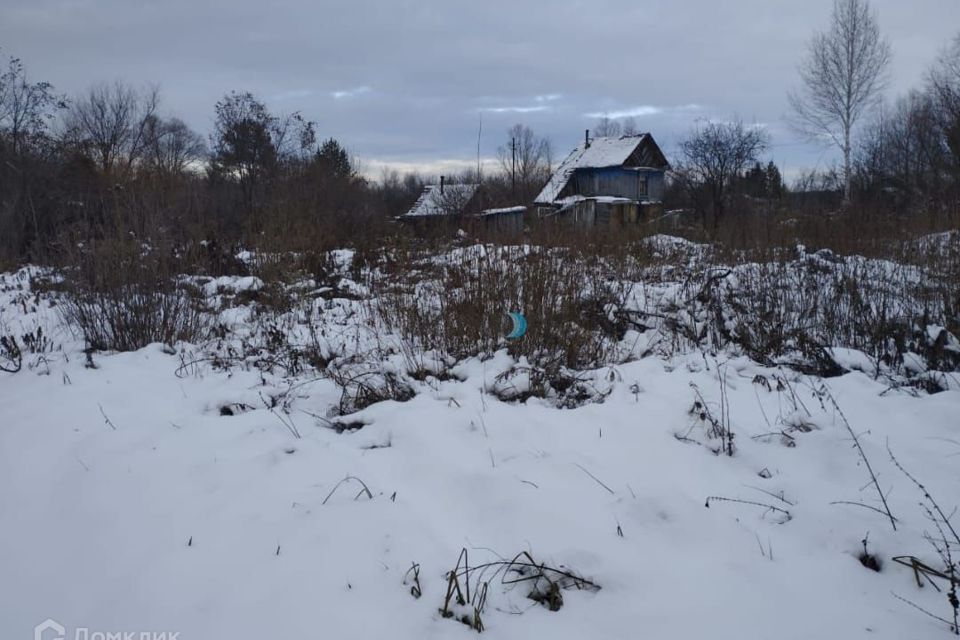 Посадка деревьев Уфа, цена. Посадка деревьев крупномеров, цена.