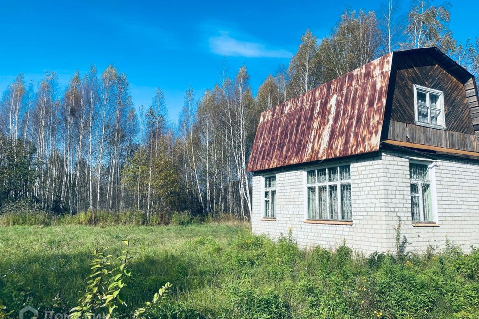 Купить Сад В Нижегородской Области