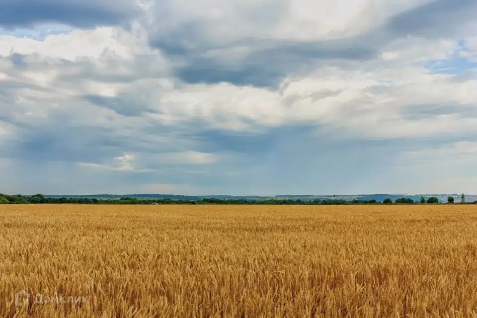 Продаётся земельный участок, 650 сот.