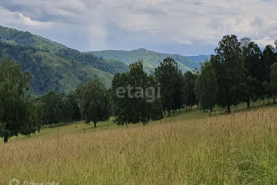 Купить Участок В Республике Алтай Майминский Район