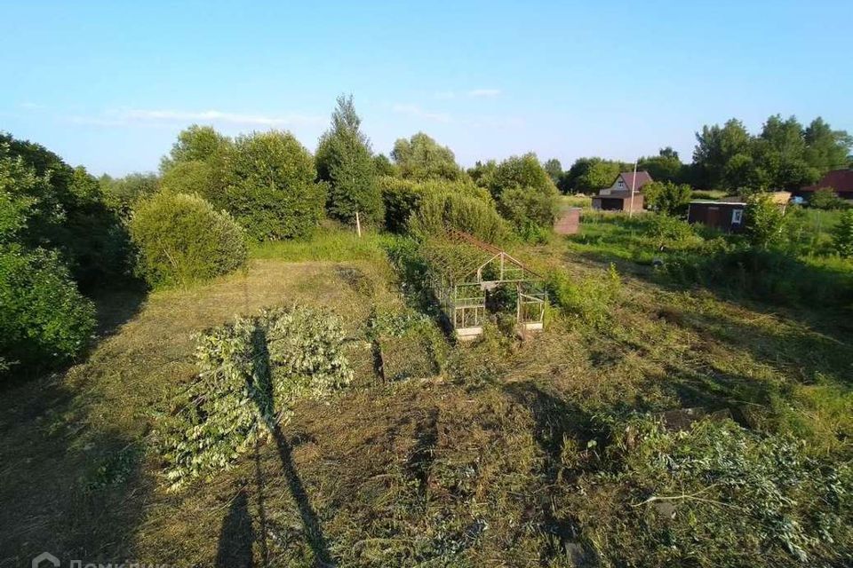 Ижс новгородская область. Котовицы Новгородская область. Афимцево. Новгородский Садовая.