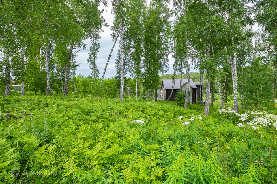 Купить Землю В Новосибирске