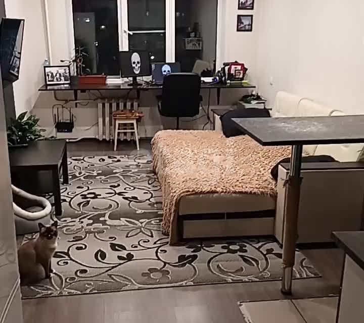 Продаётся студия, 24 м²