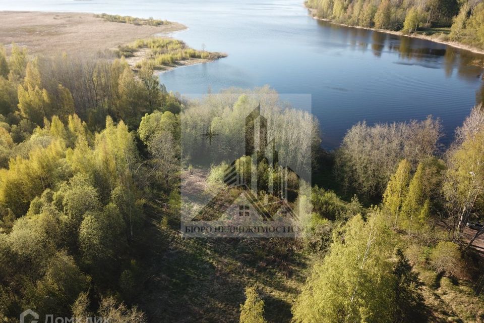 Озеро Утиное - прекрасное место для рыбалки в Выборгском районе