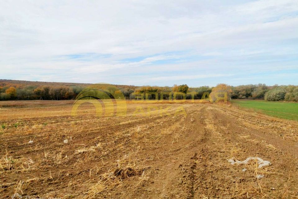 Село мушковатово. Деревня новопокровское. Новопокровское земельный участок. Деревня чевкино рязанская область. Территория тиз новопокровское.