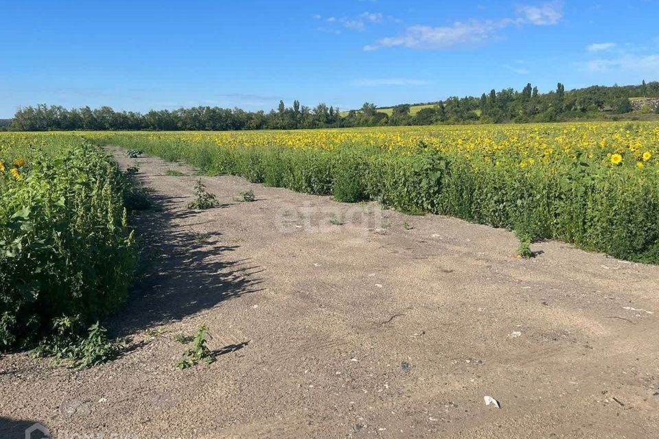 Купить Участок Ижс В Воронеже