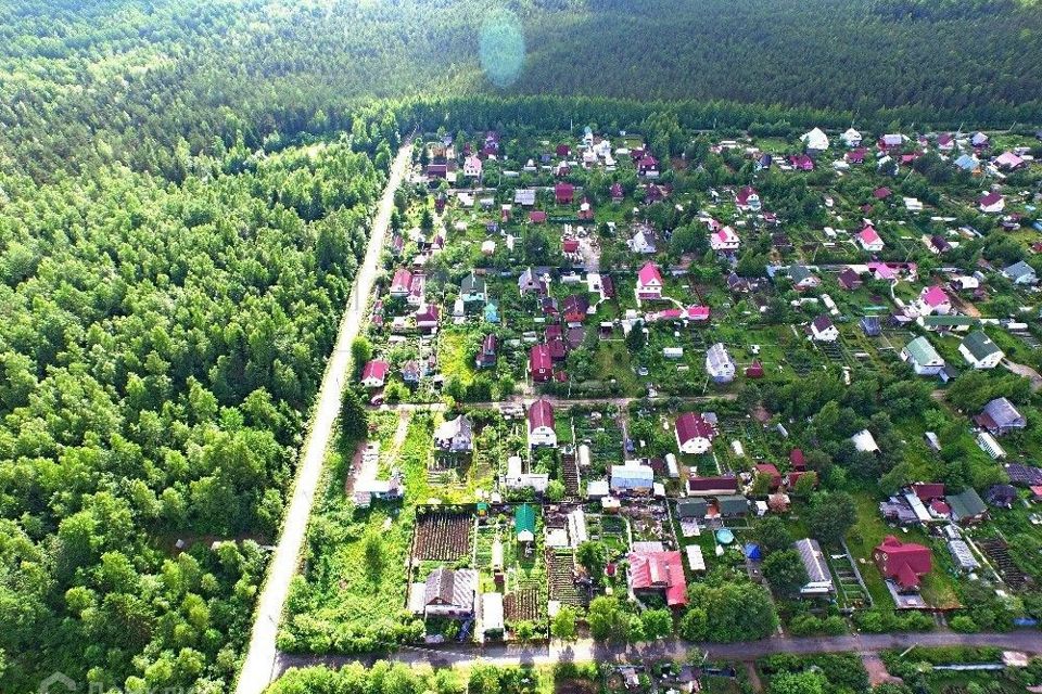 Снт дунай всеволожский. Снт дунай. Снт урожай. Снт дунай всеволожский. Снт дунай 2.