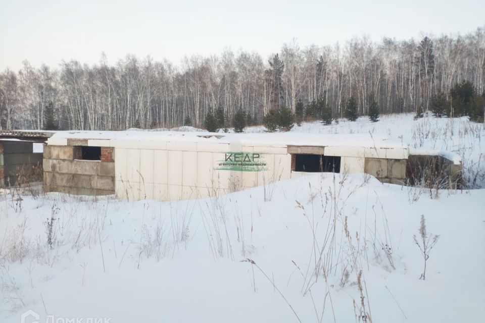 Днт элита. Красноярск п. Поселок западный элита. Днт элита. Элита.