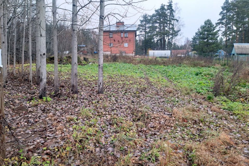 Посёлок поляны ленинградская область выборгский. Поляныш. Аптека выборгское ш. Доты под выборгом. Выборгском районе п поляны.