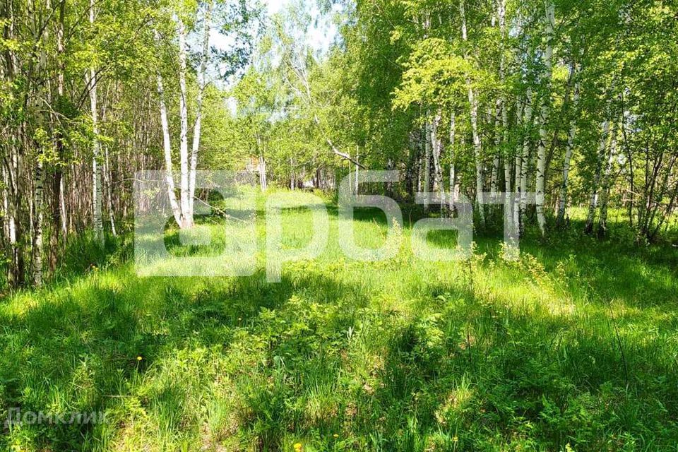 Купить Участок Костромская Область