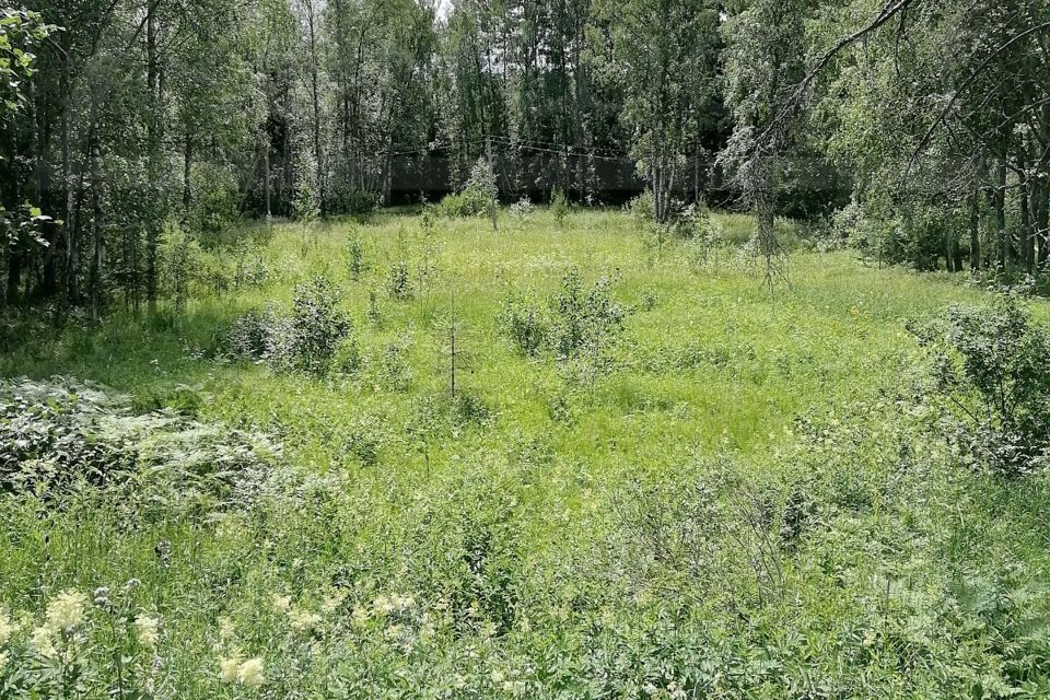 Участок Купить Ленинградская Область Приозерское Направление